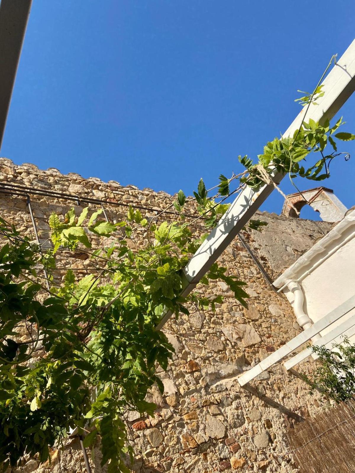 Ecoturisme Mas Ribas Hotel Palamos Bagian luar foto